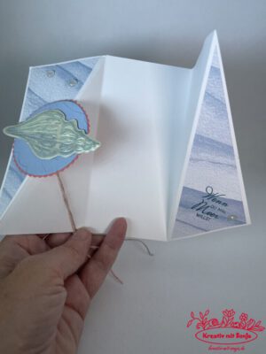 IMG_8035 IMG_8035