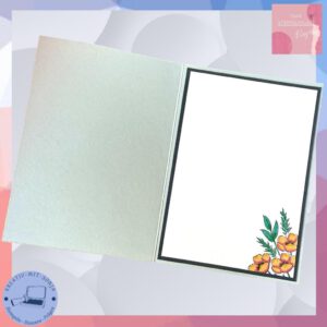 Bild 8 BH StP 2025-09 Bild 8 BH StP 2025-09