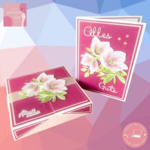 Bild 1 BH StP 2025-11