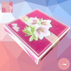 Bild 6 BH StP 2025-11