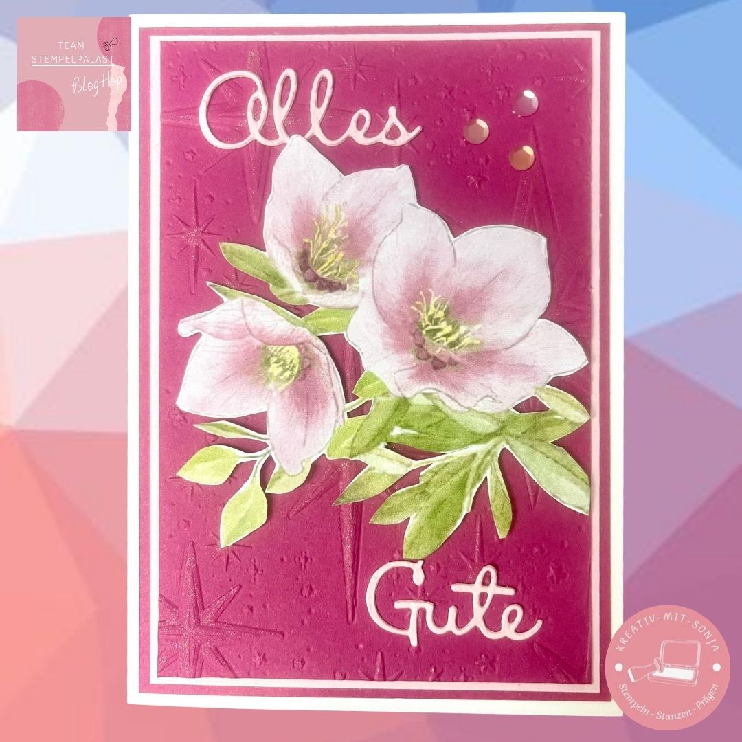 Bild 7 BH StP 2025-11