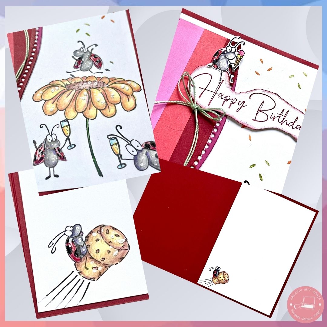 Bild 5 HZ-Hop 2026-02 FB+Blog