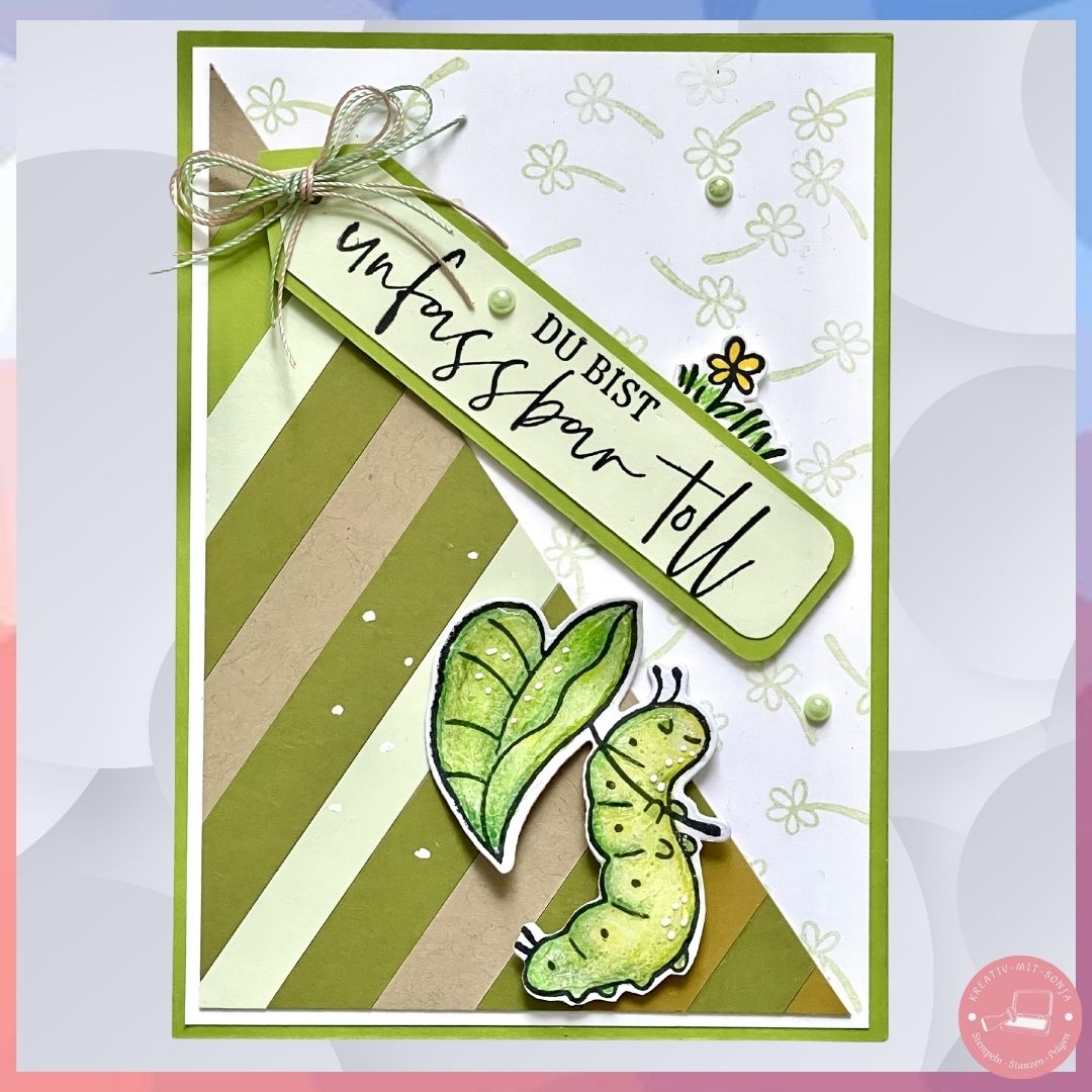 Bild 6 HZ-Hop 2026-02 FB+Blog