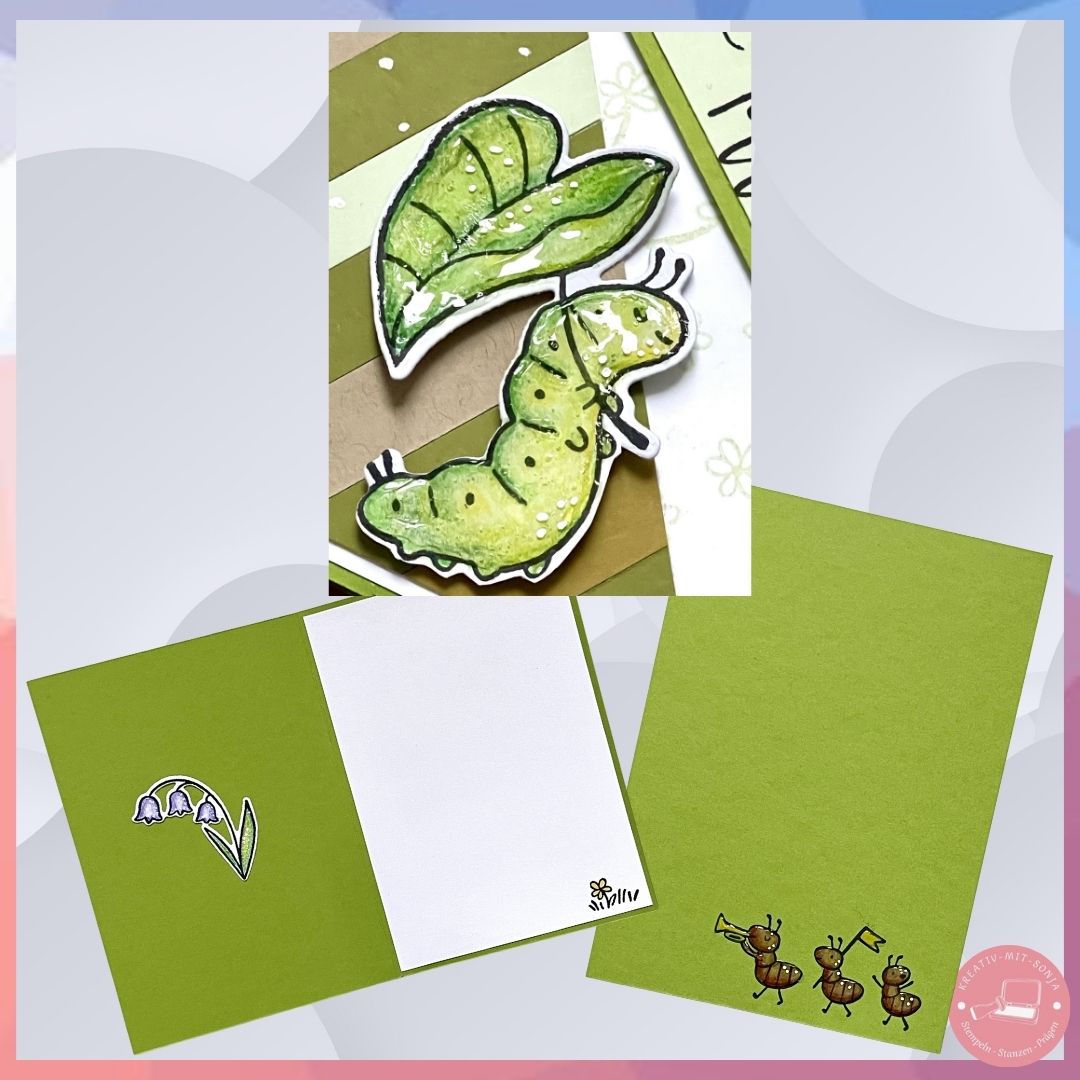 Bild 7 HZ-Hop 2026-02 FB+Blog