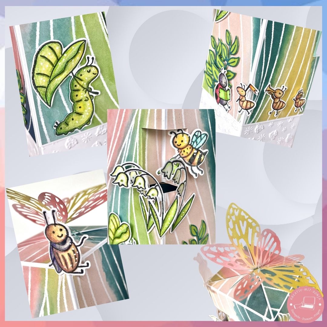 Bild 8 KKK-2026-03 FB+Blog