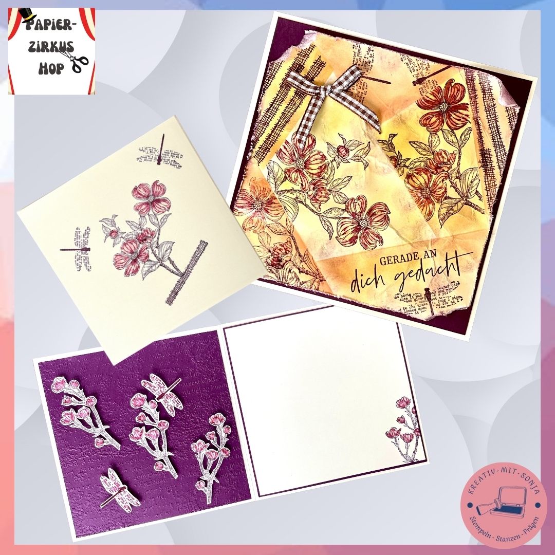 Bild 1 Papierzirkus 2026-02-01