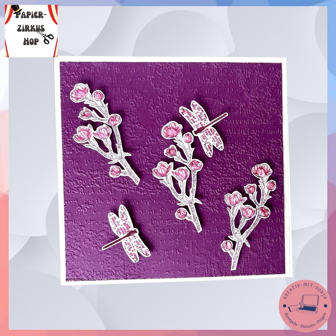 Bild 5 Papierzirkus 2026-02-01